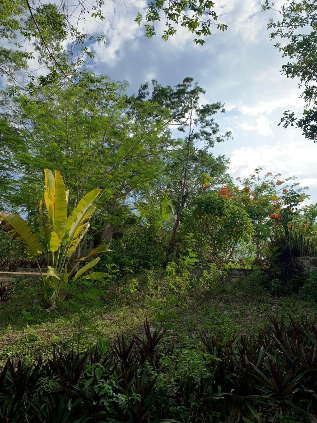 El Encanto - Hotel Boutique Chichén-Itzá Εξωτερικό φωτογραφία
