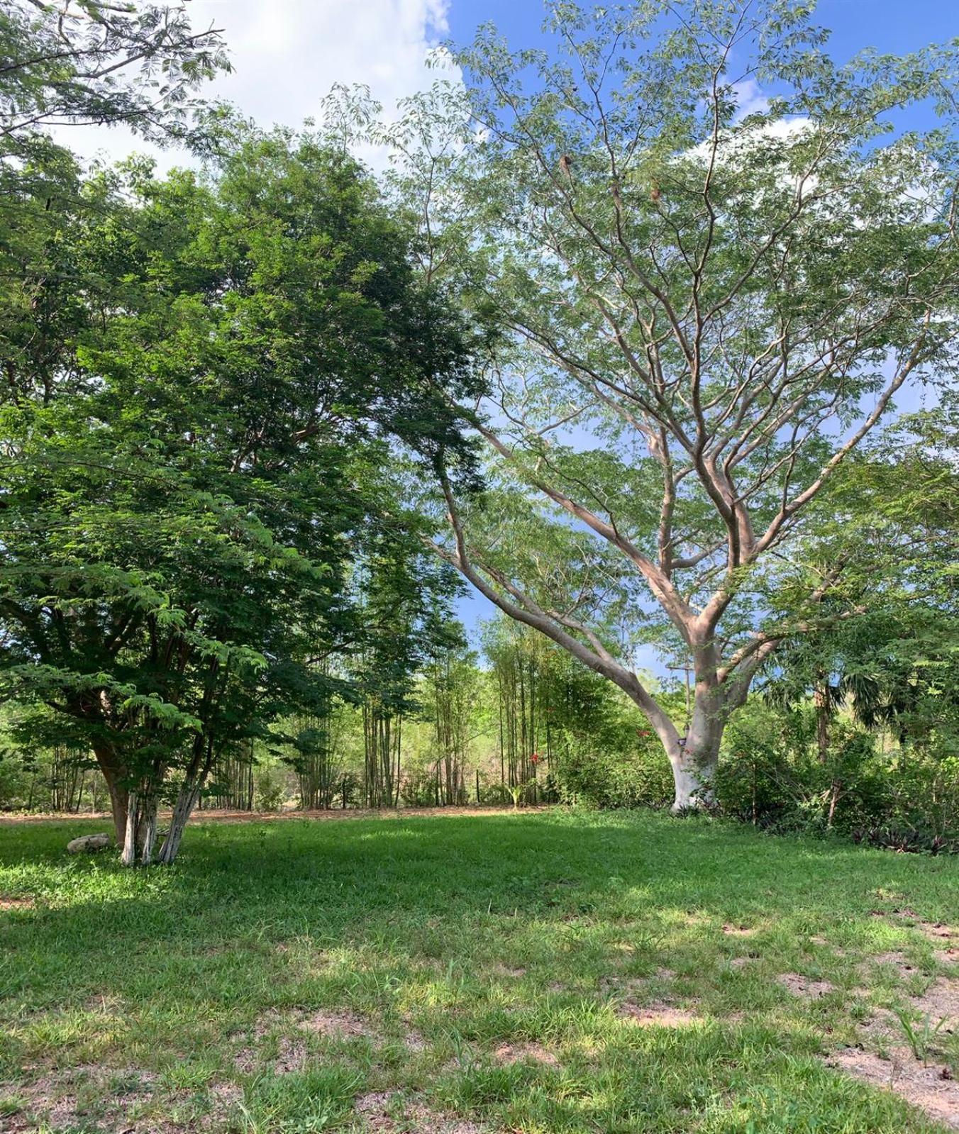 El Encanto - Hotel Boutique Chichén-Itzá Εξωτερικό φωτογραφία