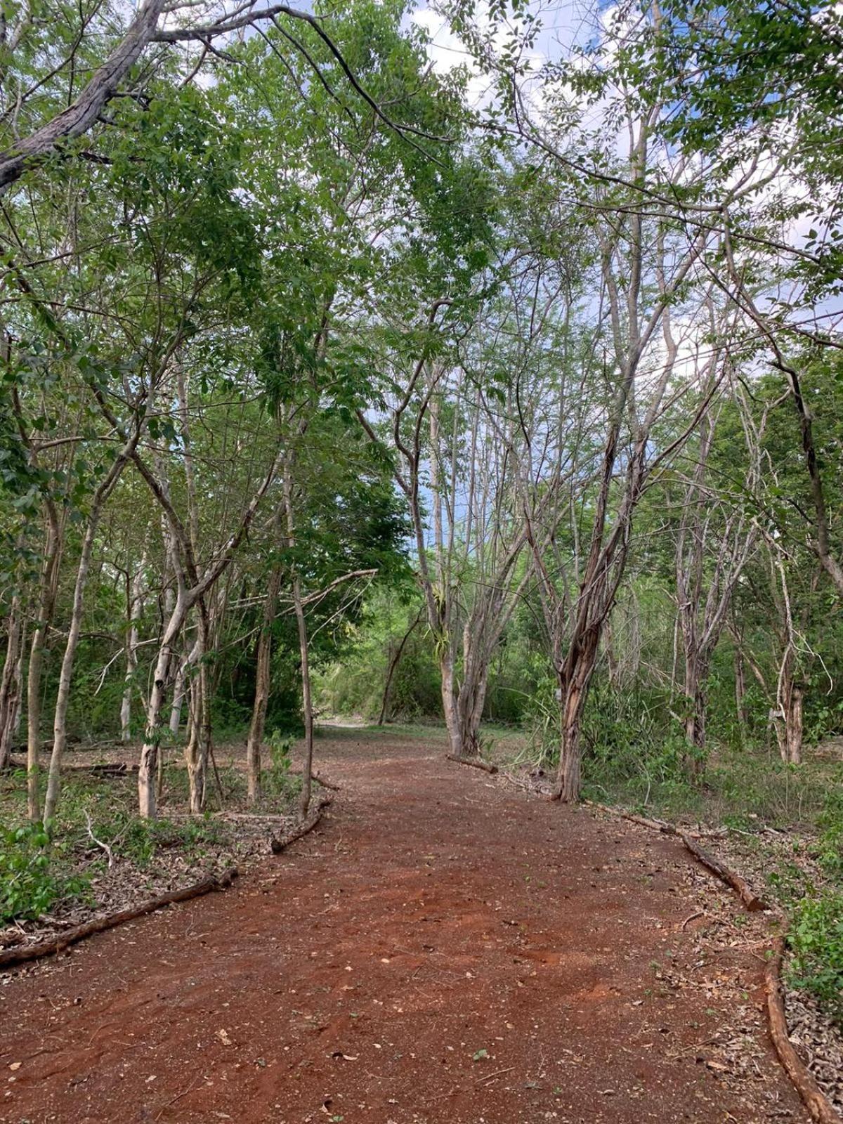 El Encanto - Hotel Boutique Chichén-Itzá Εξωτερικό φωτογραφία